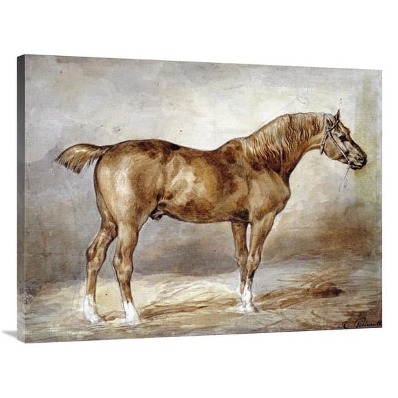 40 in. Cheval a LEcurie Art Print - Theodore Gericault