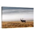thumbnail image 1 of 40 in. Foggy Morning Art Print - Vic Schendel, 1 of 1