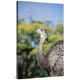 thumbnail image 1 of 40 in. Greater Rhea in Savannah, Fezenda Rio Negro, Pantanal, Brazil Art Print - Tui De Roy, 1 of 1