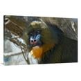 thumbnail image 1 of 40 in. Mandrill Art Print - Vic Schendel, 1 of 1