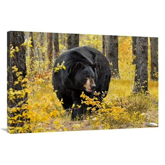 40 in. On the Prowl Art Print - Vic Schendel
