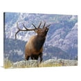thumbnail image 1 of 40 in. On the Ridgeline Art Print - Vic Schendel, 1 of 1