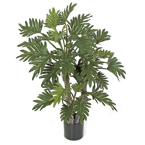 40 in. Philo Selloum Tree - Green - 40in.