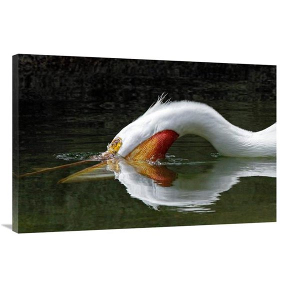 40 in. The Dive Art Print - Vic Schendel