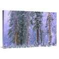 thumbnail image 1 of 40 in. Winter in Yosemite National Park, California Art Print - Tim Fitzharris, 1 of 1
