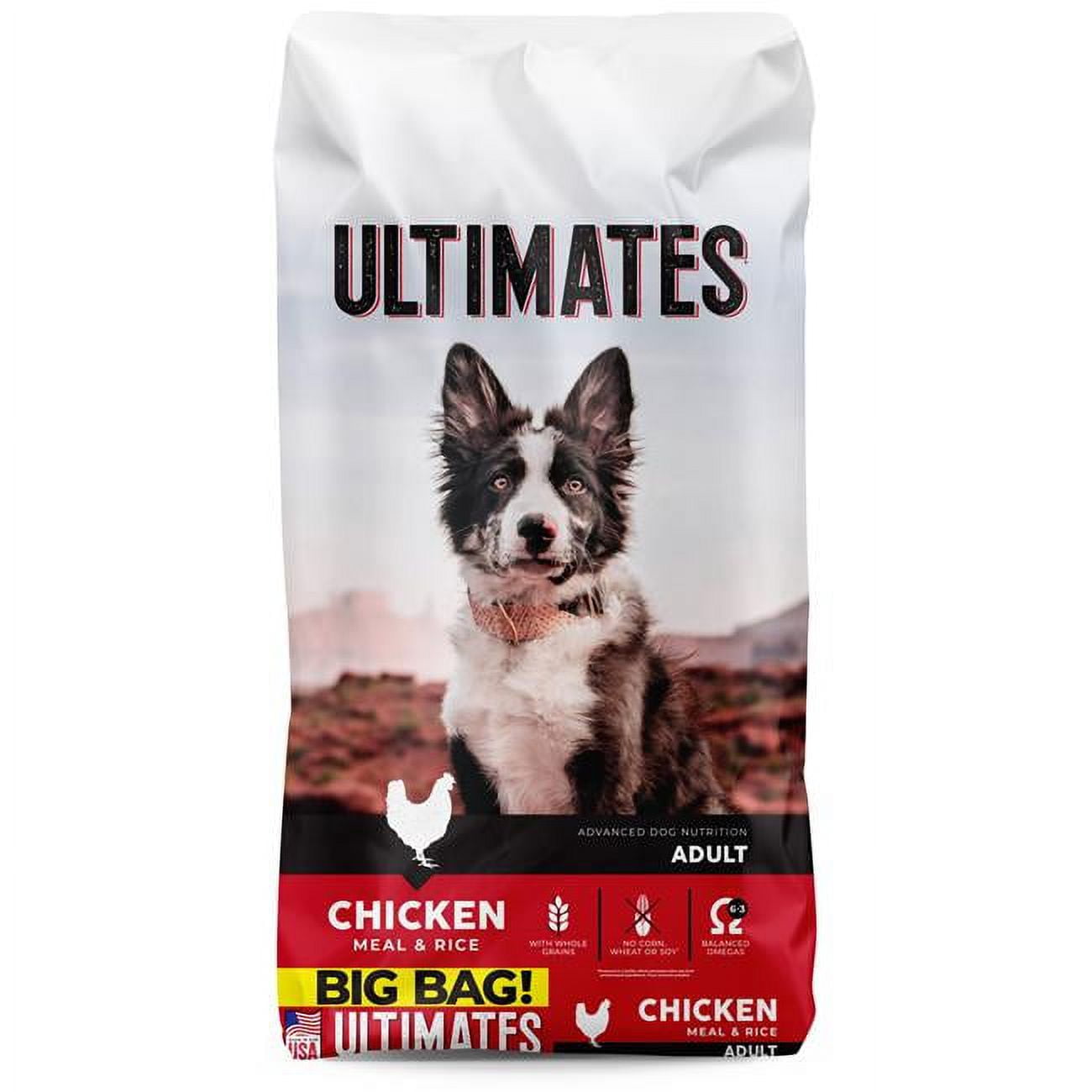 40 lbs Chicken Meal & Rice Dog Food - Pack of 50