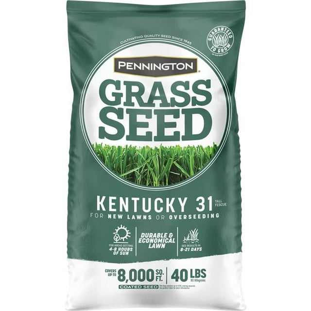 40 lbs Kentucky 31 Tall Fescue Medium Shade Grass Seed
