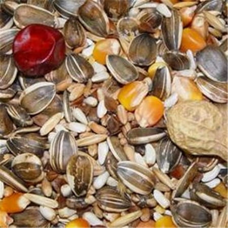 40 lbs s Supreme Parrot