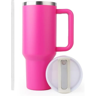 Paris Hilton 40oz Stainless Steel Tumbler Set, Double Wall Vacuum Insulated  Cup with Removable Handle, Reusable Straw, Leak-Proof Flip-Top Lid, 40  Ounce, Rainbow Iridescent White and Pink 