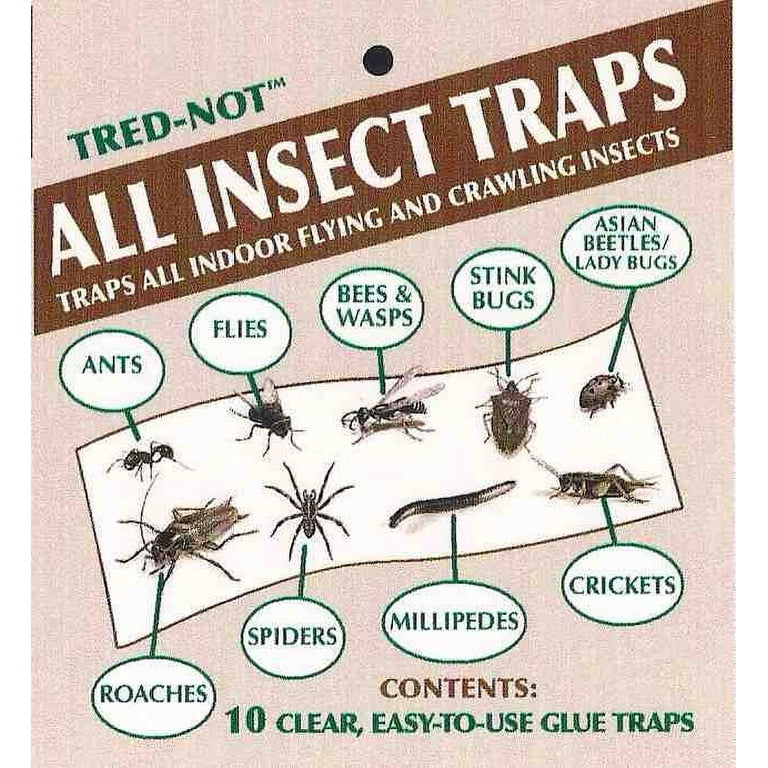 https://i5.walmartimages.com/seo/40-pk-ALL-Insect-Traps-Strips-Glue-Boards-Trap-Flies-bees-wasps-asian-beetles-etc_716ed02c-69ca-4d99-aa33-24e05cb6cce1.9fc2ec502645f93bb328a4d8cb6a10f6.jpeg?odnHeight=768&odnWidth=768&odnBg=FFFFFF