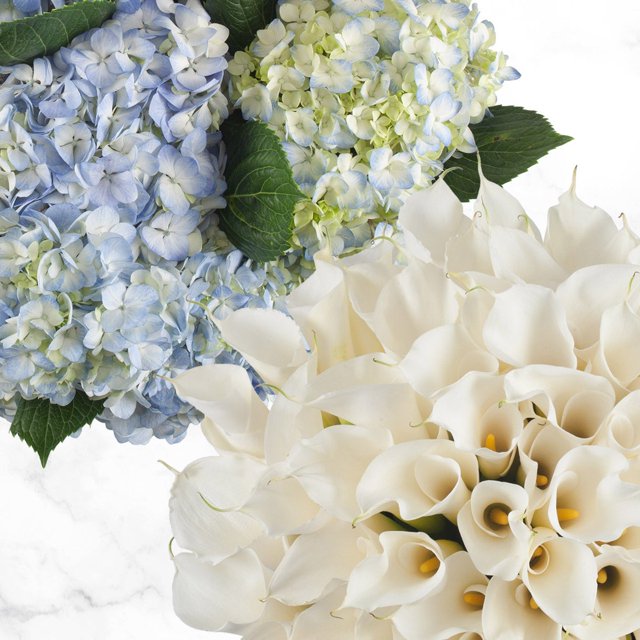 40stem Calla Lilies and 20stem Hydrangea