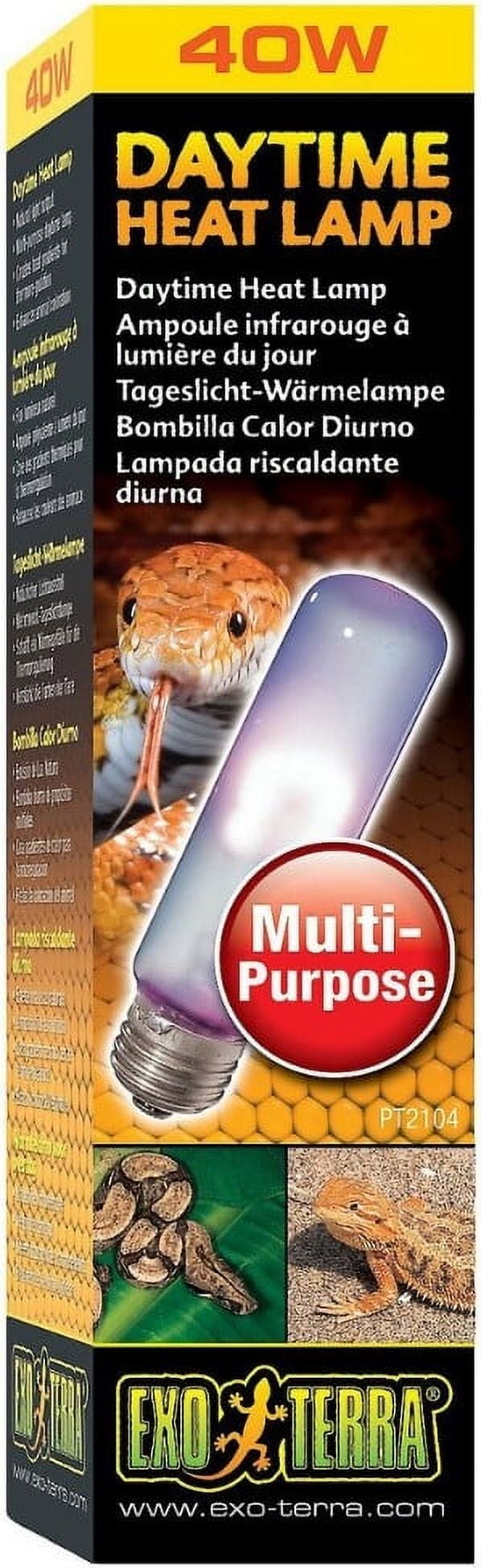 40 watt Exo Terra Daytime Heat Lamp Sun Glo Daylight Reptile Bulb