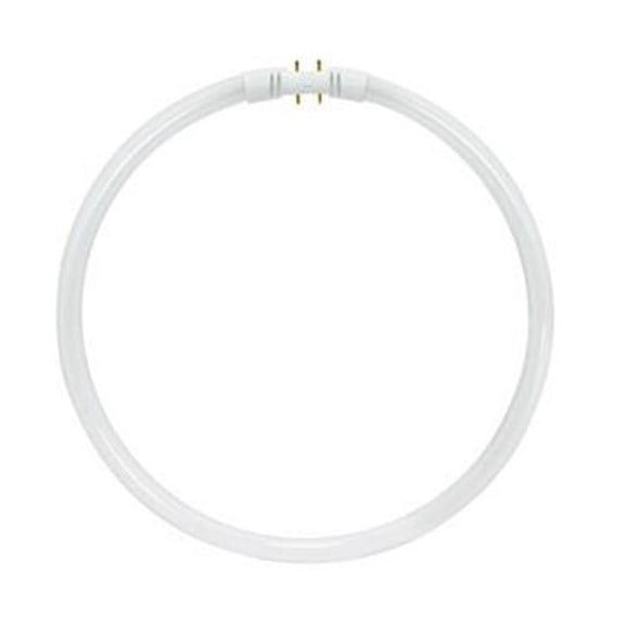 40 watt; T5; Circline Fluorescent; 4100K Cool White; 82 CRI; 2GX13 (4-Pin) base