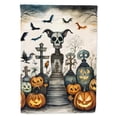 thumbnail image 1 of 40 x 28 in. Unisex Pet Cemetery Spooky Halloween House Flag, 1 of 1