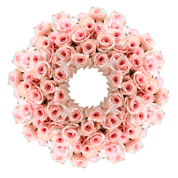 400 Assorted Pink Roses- Beautiful Fresh Cut Flowers- Express Flower Delivery