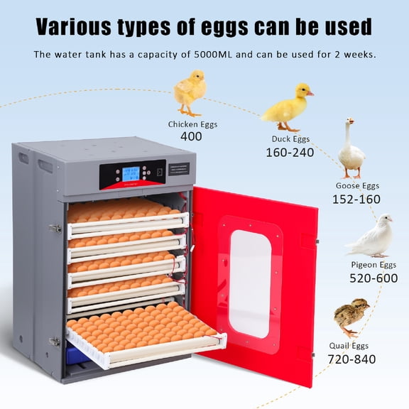 Large Capacity Chicken Egg Hatcher Machine with Transparent Viewing Panel