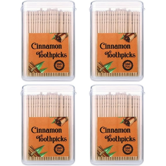 400 Pcs 4 Boxes Cinnamon Toothpicks for Adults Cinnamon Flavored Toothpicks with Clear Plastic Boxes, 100 Pcs for Each Box