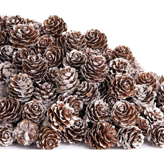 400 Pcs Natural Mini Pine Cones - 1" Small Snow Pinecones Ornaments for Christmas Tree, Thanksgiving, DIY Crafts, Vase Fillers, Fall Winter Home Decor