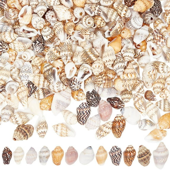 400 Pcs Natural Shell Beads Spiral Shell Beads Hole 1mm Conch Trinket Fish Aquarium Ornaments Summer Beach Small Seashells for Jewelry Making DIY Crafting