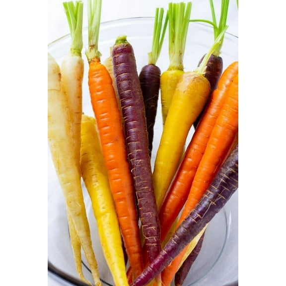 400+ Rainbow Carrot Seeds | NON-GMO | Heirloom | Fresh Vegetable Seeds