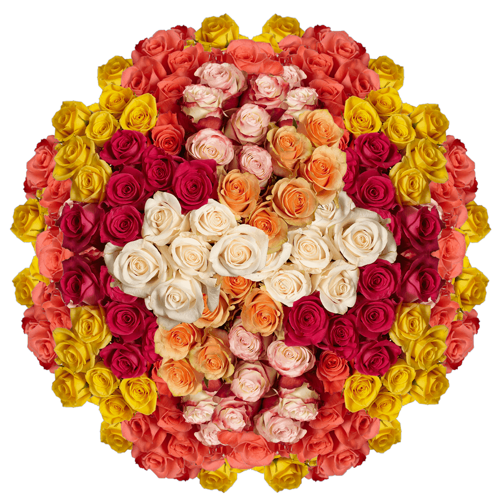 400 Stems of Assorted Roses- Beautiful Fresh Cut Flowers- Express ...