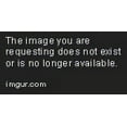 thumbnail image 1 of 400-Thread Count 100% Egyptian Cotton Bedding Sheets & Pillowcases, 4-Piece Sheet Set by Impressions -Twin, 1 of 3
