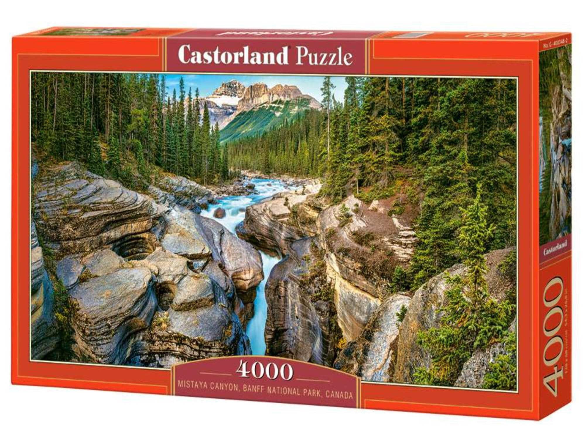 Castorland 1000 Piece Puzzle - "Fruit And Wine" Colorful Jigsaw Puzzle