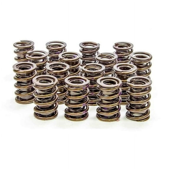 4005 1.240 Dual Valve Springs, Set of 16