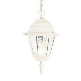 4006TW-Acclaim Lighting-Builders Choice - One Light Outdoor hanging Lantern  Textured White Finish