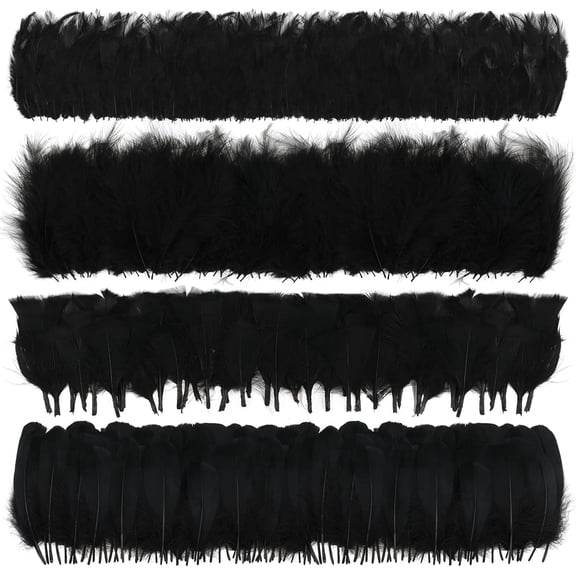 400PCS Black Feathers 2-7 inch, 4 Styles Assorted Feathers for DIY Crafts Wedding Halloween Costume Party Decorations Dream Catcher Supplies