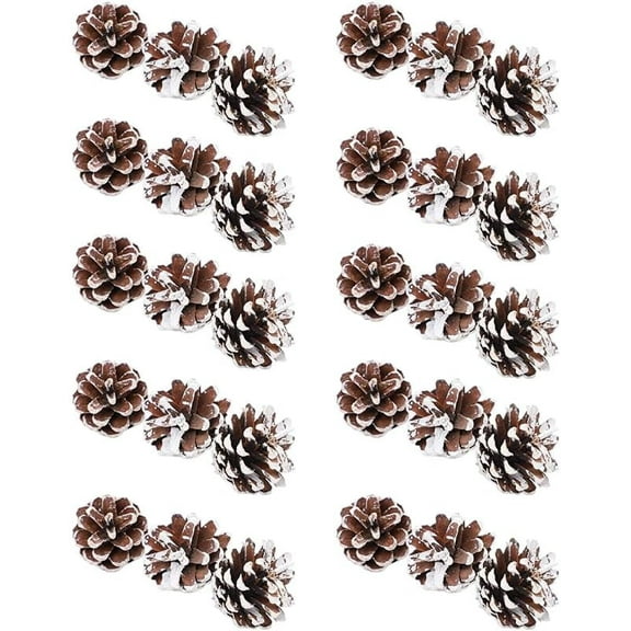 30PCS Natural Mini Pine Cones, Pinecones Ornaments for DIY Crafts Lodge Pole Decorative Fall Winter Holiday Home Decor Vase Filler, Home Decorations Christmas Tree Ornaments