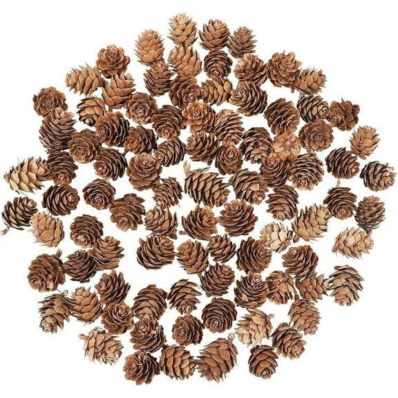 300pcs Natural Mini Pine Cones, Pinecones Ornaments for DIY Crafts Lodge Pole Decorative Fall Winter Holiday Home Decor Vase Filler, Home Decorations Christmas Tree Ornaments