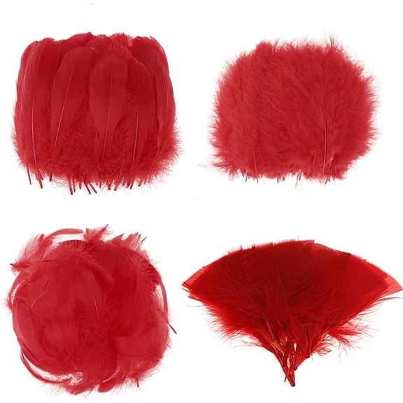 400PCS Red Feathers 2-7 inch, 4 Styles Assorted Feathers for DIY Crafts Wedding Halloween Costume Party Decorations Dream Catcher Supplies