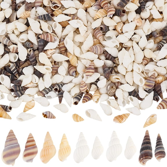 400Pcs 5 Styles Natural Conch Shell Decorations for Vase Filler Beach Theme Party DIY Craft Home Decor Mixed Color 13-28.5x5-10mm
