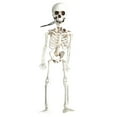 40Cm Realistic Human Skeleton Christmas Decor Decoration for House Room