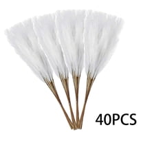 40PCS Artificial Pampas Grass Decor – 21.65" Fluffy Bohemian Reed Stems for Wedding, Home, Vase Arrangement (Hypoallergenic, No Shedding)