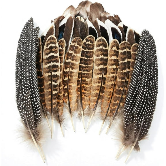 40PCS Crafts Feathers 4 Styles Mixed Feathers Bulk for DIY Dream Catcher Wings Earring Hat Mask Wedding Party Carnival Halloween Costume Decorations