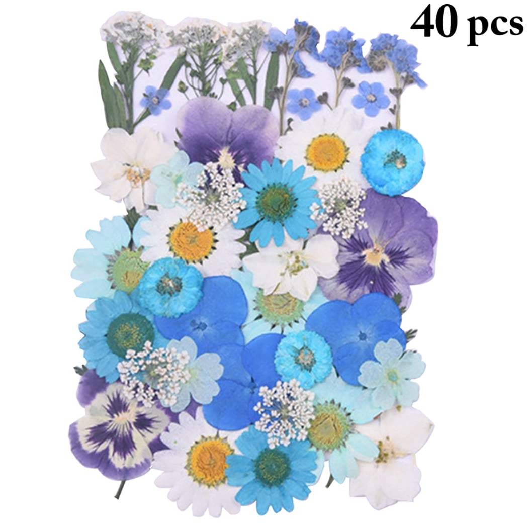40PCS DIY Pressed Flowers Natural Mixed Dried Craft Flowers Dried Flower  Leaves