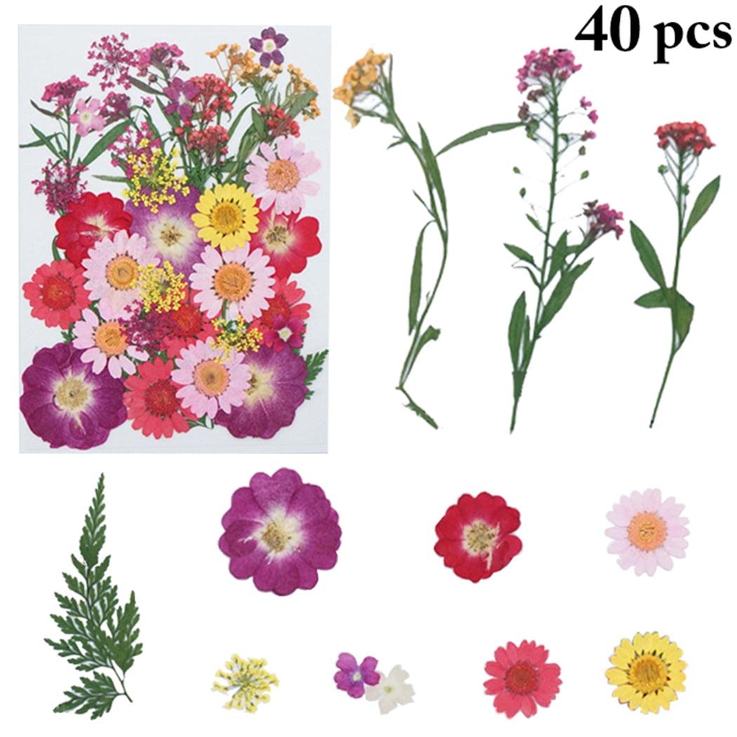 100 Pcs Small Dried Flowers, Tiny Dry Flowers,flowers for Resin