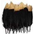 thumbnail image 1 of 40PCS Gold Dipped Black Feathers, 5.9-8.7 inch Feathers for DIY Crafts Wedding Halloween Costume Party Decorations Dream Catcher Supplies, 1 of 7