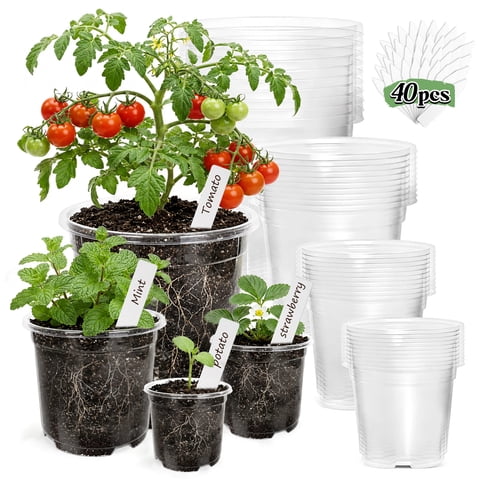 Teblint 40-Pack Clear Nursery Pots for Plants, 6/5/4/3.5 inch Seedling Pots with Drainage Holes 40 Labels High Transparency PET Plastic Planters for Seed Starting, Transplanting