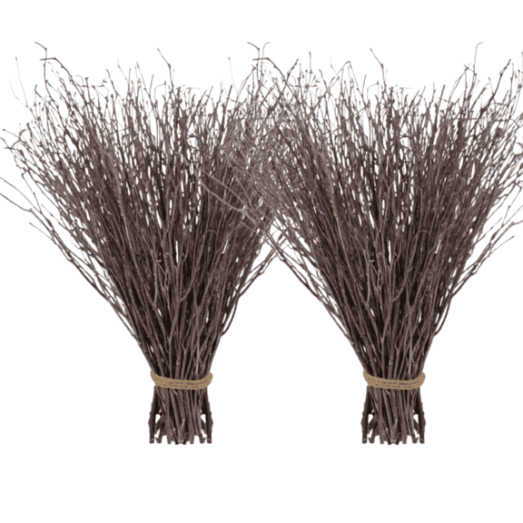 40Pcs Dried Birch Twigs 17” Natural Birch Branches for Easter Vases, Curly Willow Branches, DIY, Floral Arrangement, Twig Wreath, Centerpiece, Rustic Home Decor