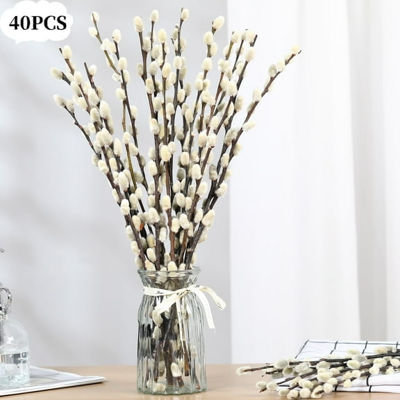 40Pcs Natural Preserved Dried Pussy Willow Branches for Vases, 15.7" Stems Real Willows, Snow Pussywillows, Dried Flowers for Indoor and Outdoor Decor, Wedding Home DIY Floral Art Plants Fireplace