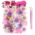 40Pcs Natural Pressed Dried Flowers Resin, Dry Flowers for Resin