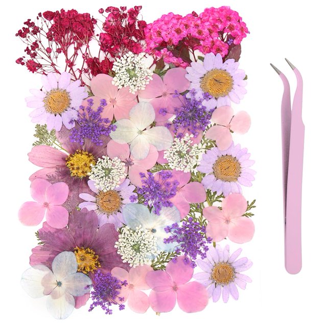 40Pcs Natural Pressed Dried Flowers Resin, Dry Flowers for Resin