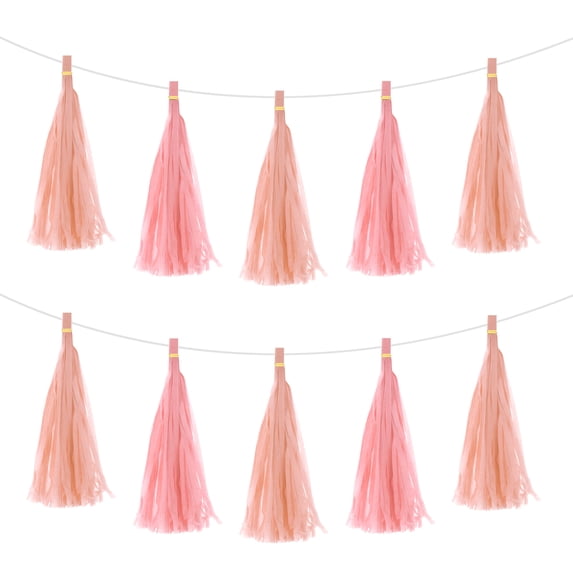 40Pcs Peach Pink,Light Pink Tassel Garland Banner w Rope for Wedding Birthday Party Decoration
