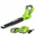 thumbnail image 1 of 40V Gmax Blower With 2.0Ah Battery And Charger, 1 of 1