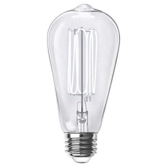 40W Equivalence ST19 E26 Filament LED Daylight Bulb, Clear - Medium