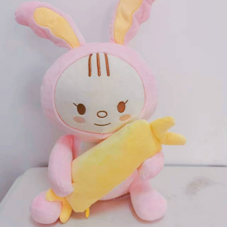 40cm Kpop Idol Seventeen Jeonghan Pluffy Toram Blanket Set Artist-made  Collection Stuffed Dolls Toys with Photocard