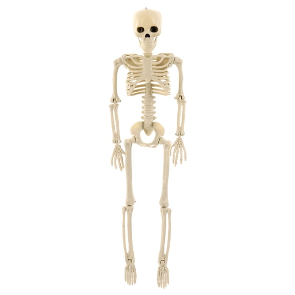 40cm Poseable Halloween Skeleton Movable Plastic Bones With Top Hat/Cape Or Weathered Effects For Bar Party (3 Styles)